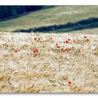 Landschaftsmalerwetter