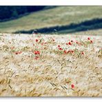 Landschaftsmalerwetter