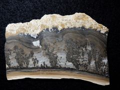 "Landschaftsmarmor" - Stromatolith