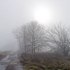 Landschaftsmotive, hier: Nebelstimmung auf dem Feldweg