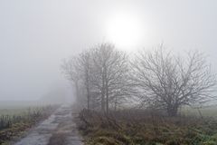 Landschaftsmotive, hier: Nebelstimmung auf dem Feldweg