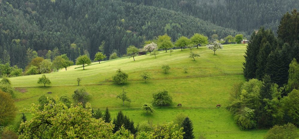 Landschaftsnutzung