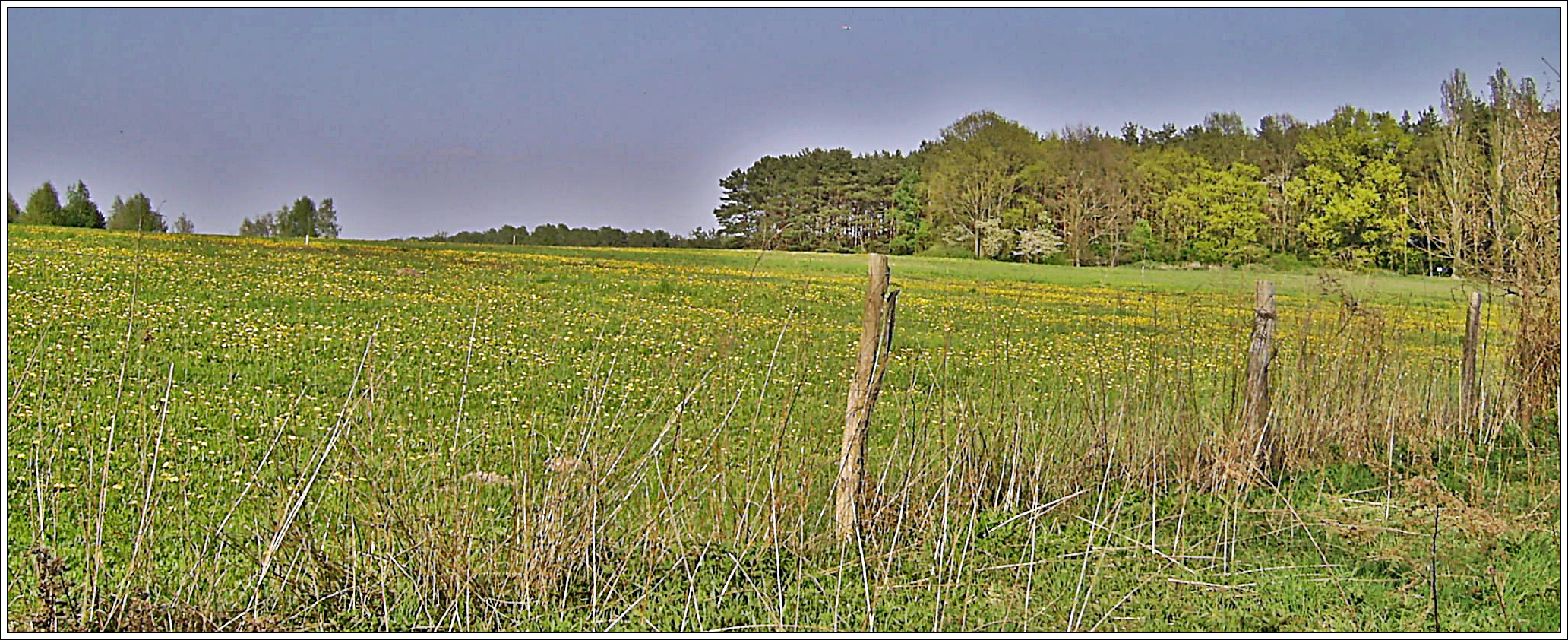 Landschaftspano -Wald &Wiesen