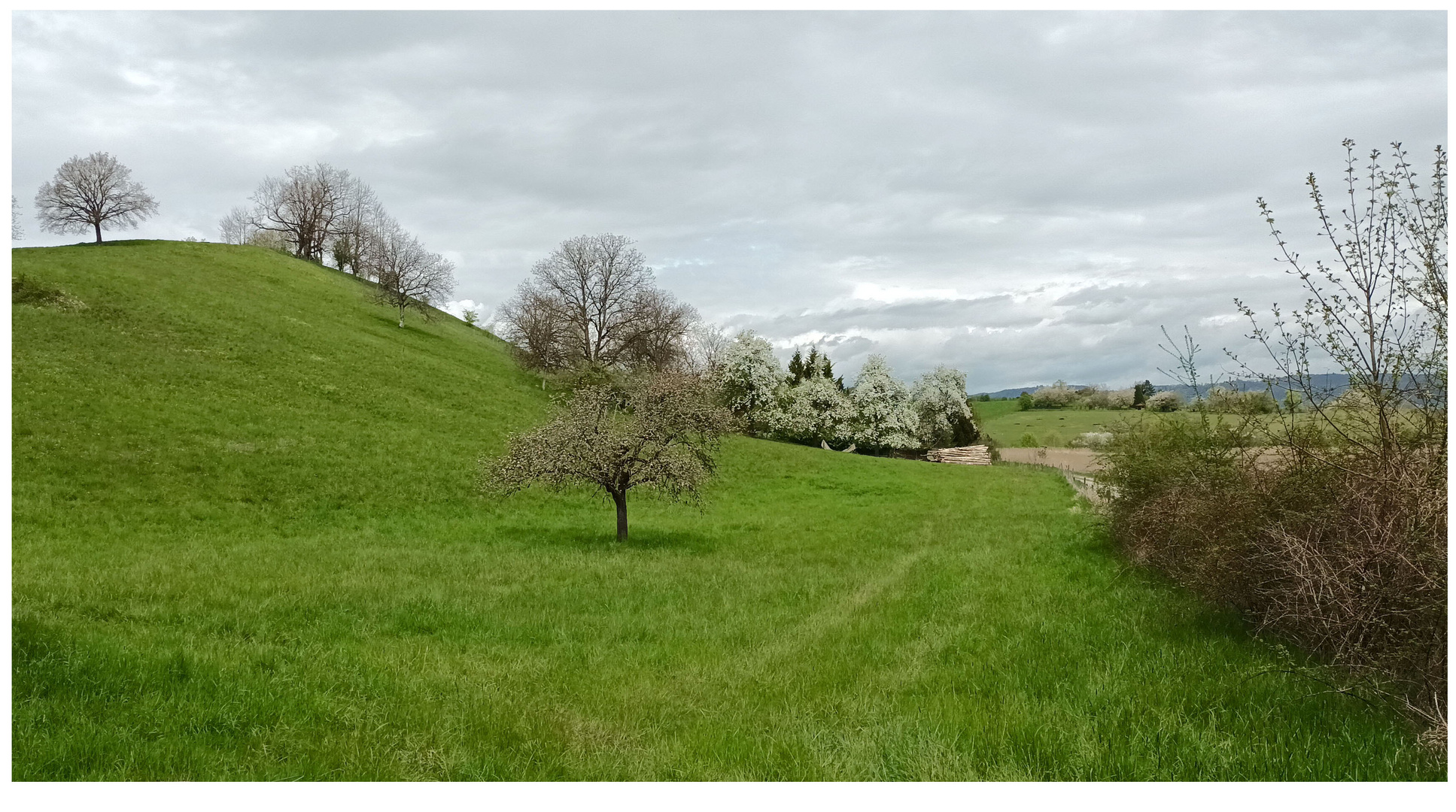 Landschaftspanorama .  .  .