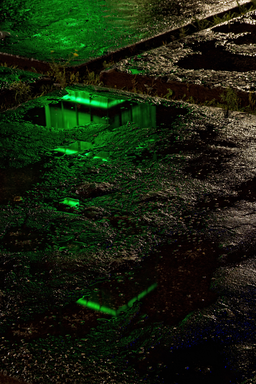 Landschaftspark bei Regen