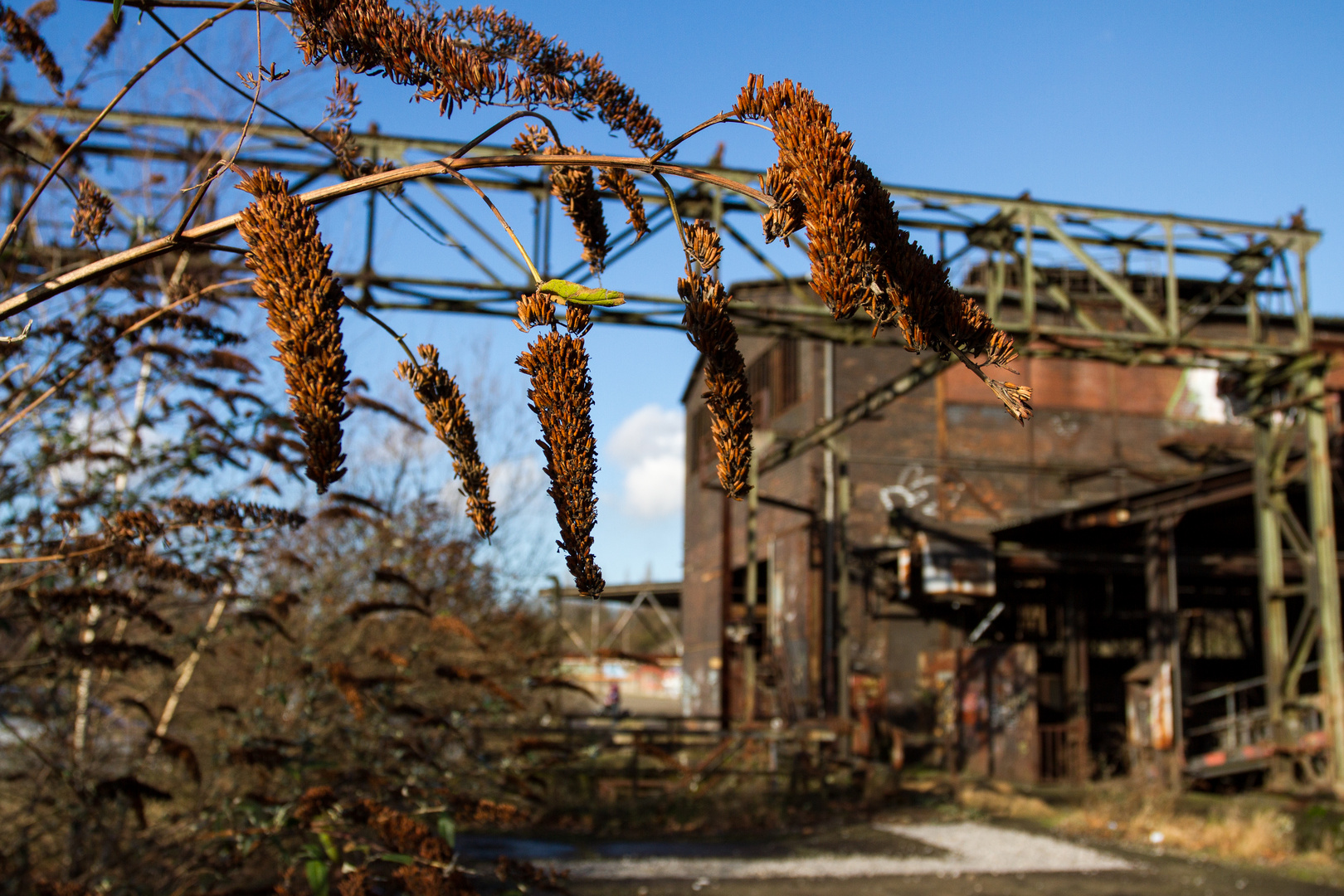 Landschaftspark Duisburg