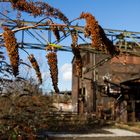 Landschaftspark Duisburg