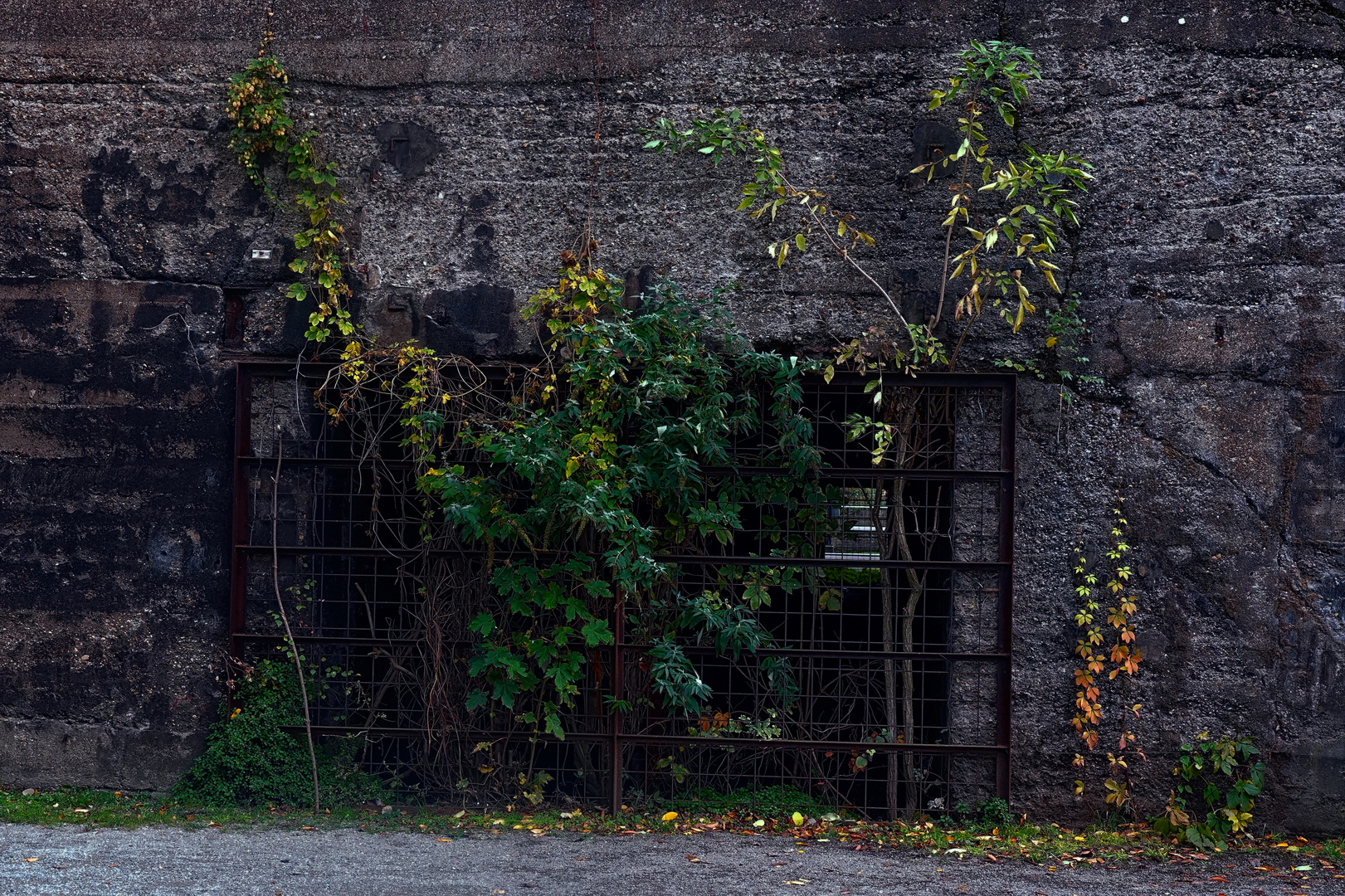 Landschaftspark Duisburg - Unter den Bunkern