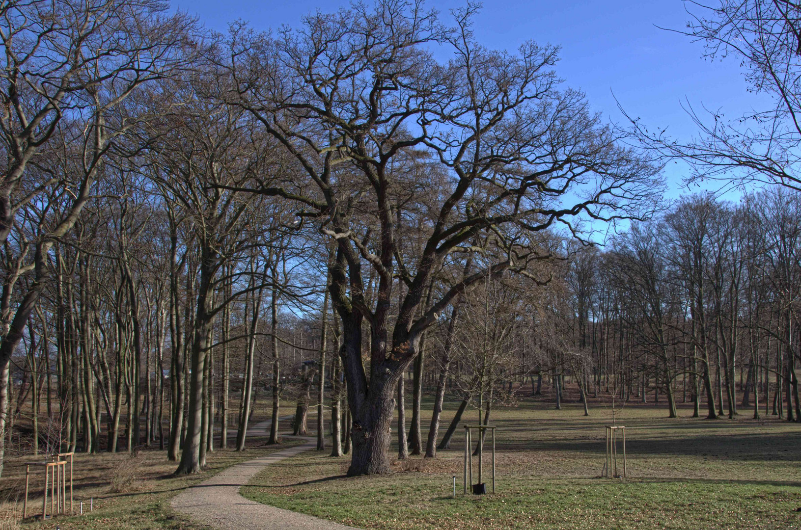 Landschaftspark Raben Steinfeld