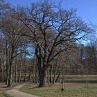 Landschaftspark Raben Steinfeld