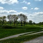 Landschaftspark Rheinbogen