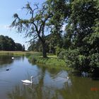 Landschaftspark Wiesenburg im Naturpark Hoher Fläming