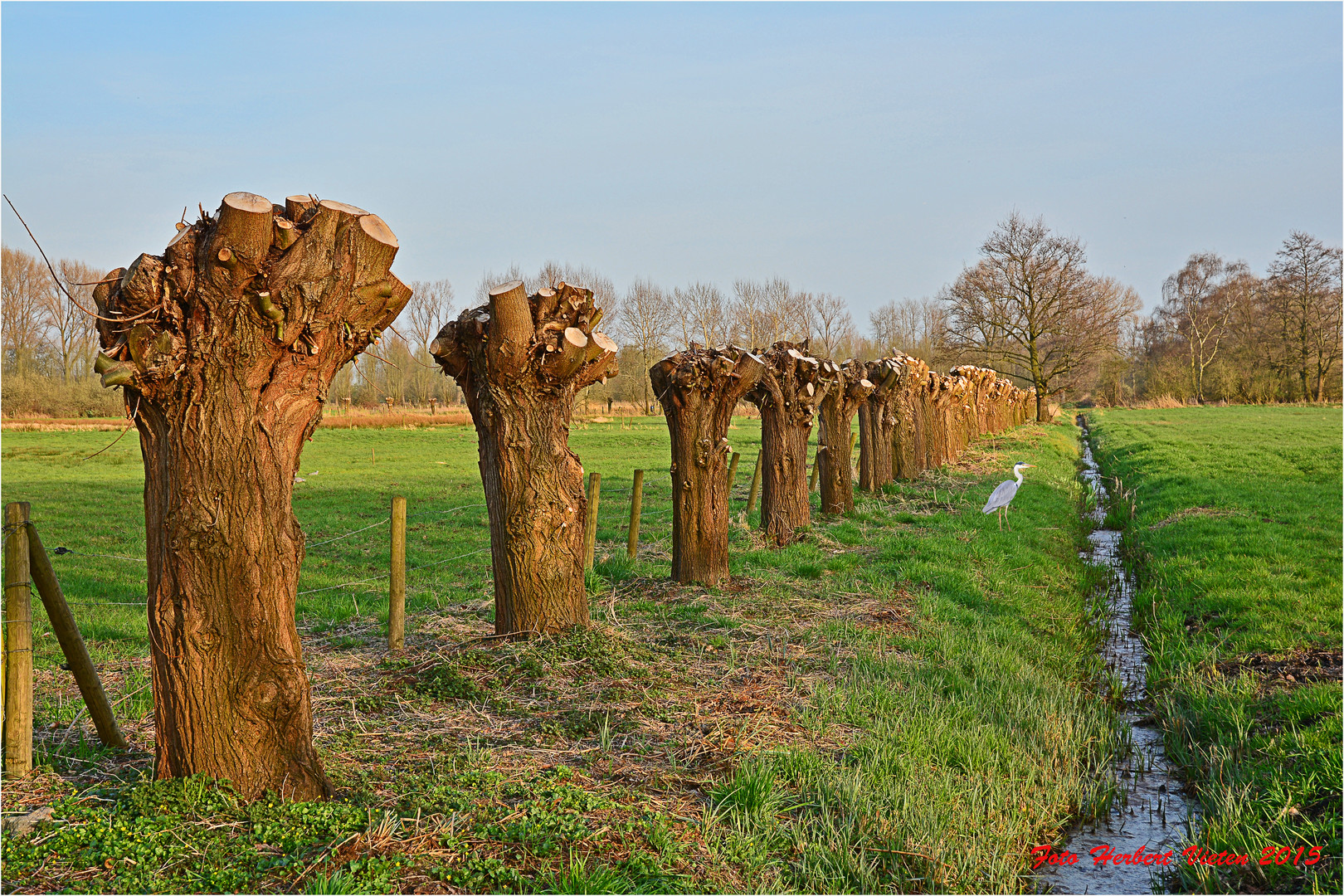 Landschaftspflege