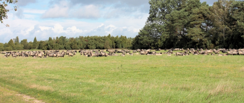 Landschaftspflege