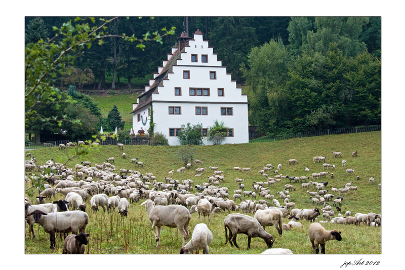 Landschaftspflege...