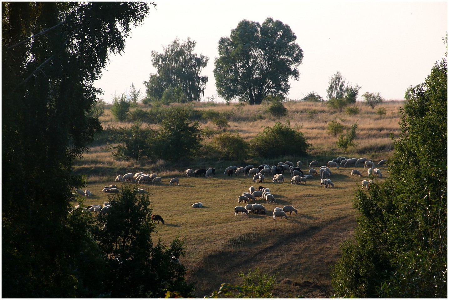 Landschaftspflege