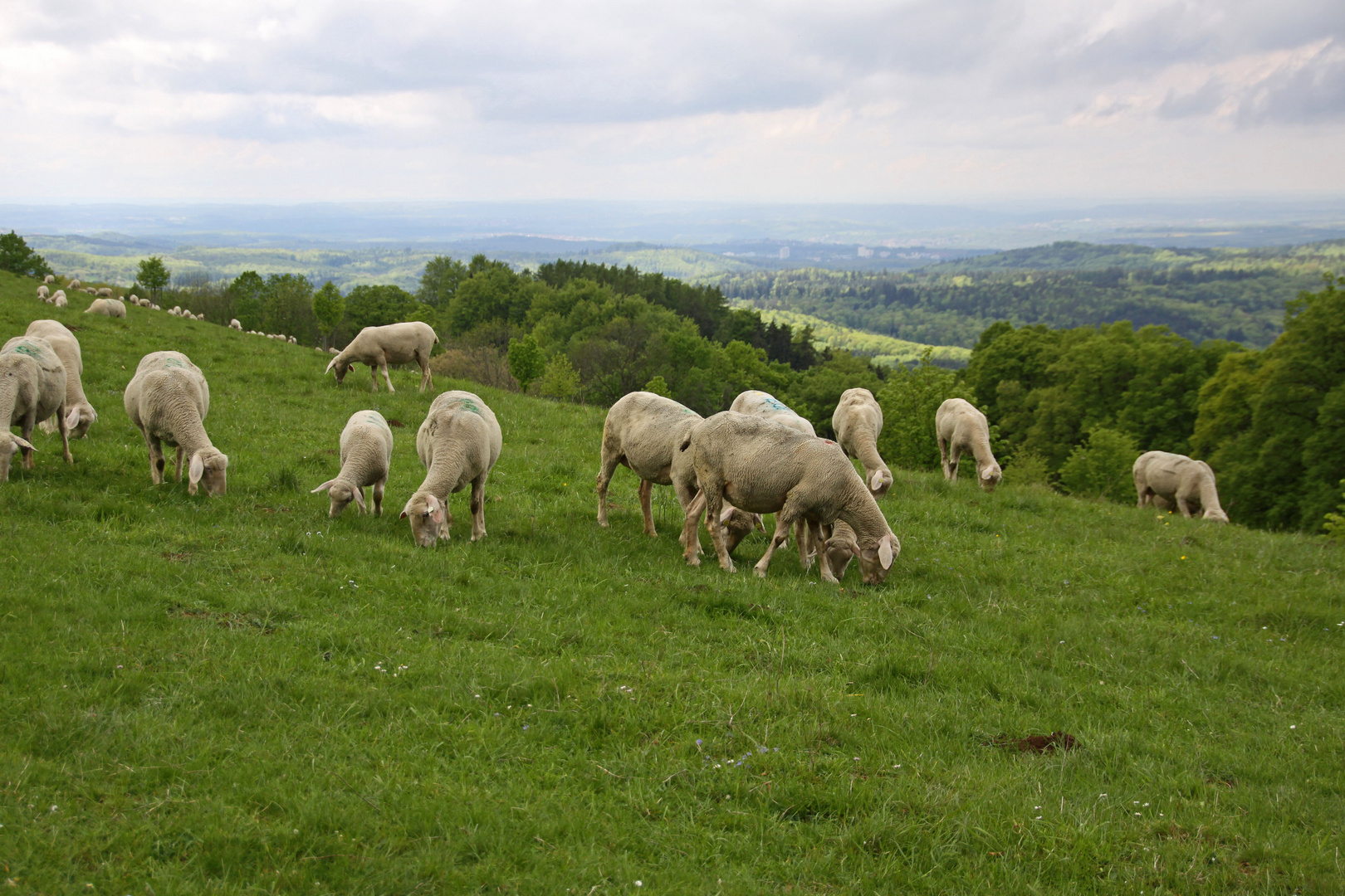 Landschaftspflege