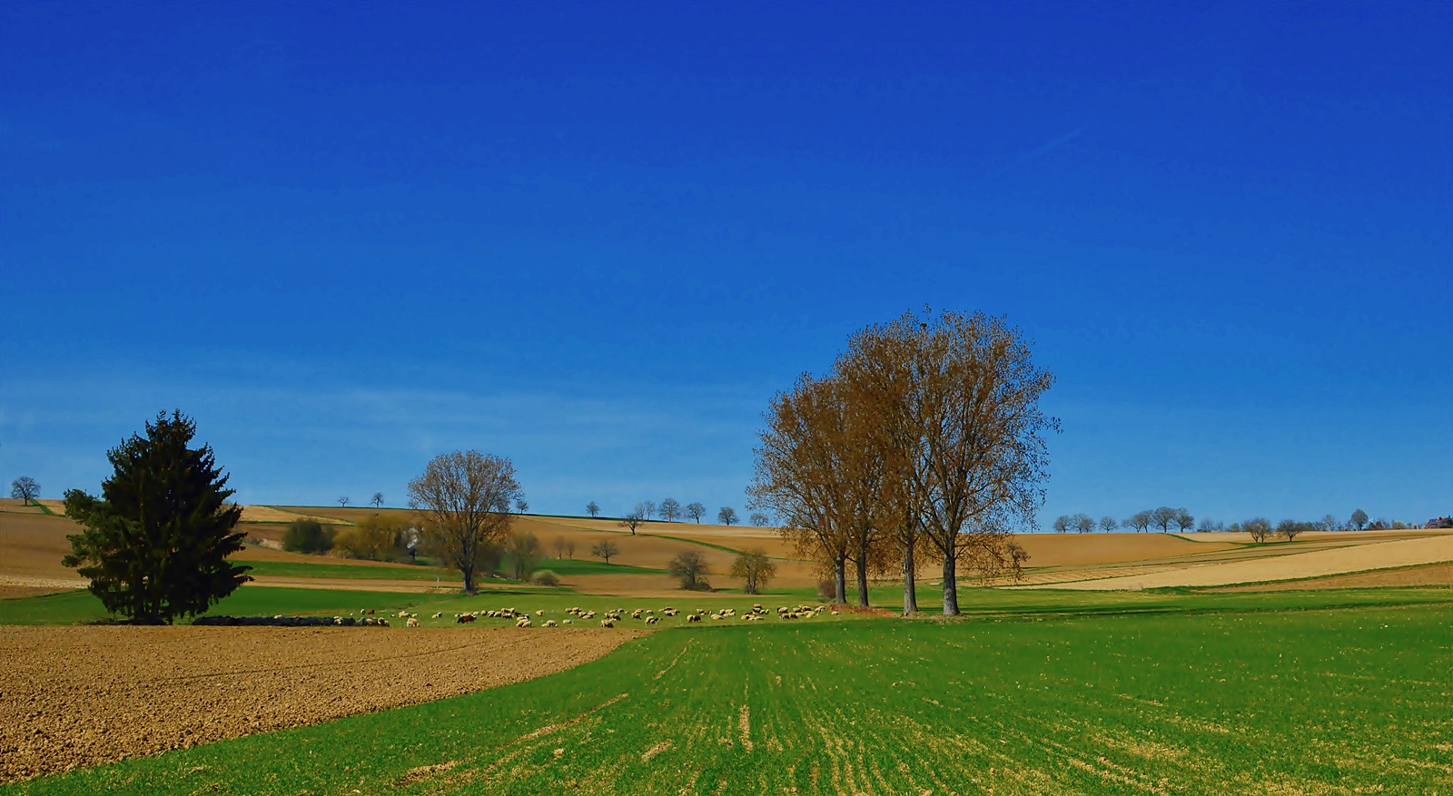 ~~~ Landschaftspfleger ~~~