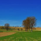 ~~~ Landschaftspfleger ~~~