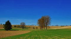 ~~~ Landschaftspfleger ~~~