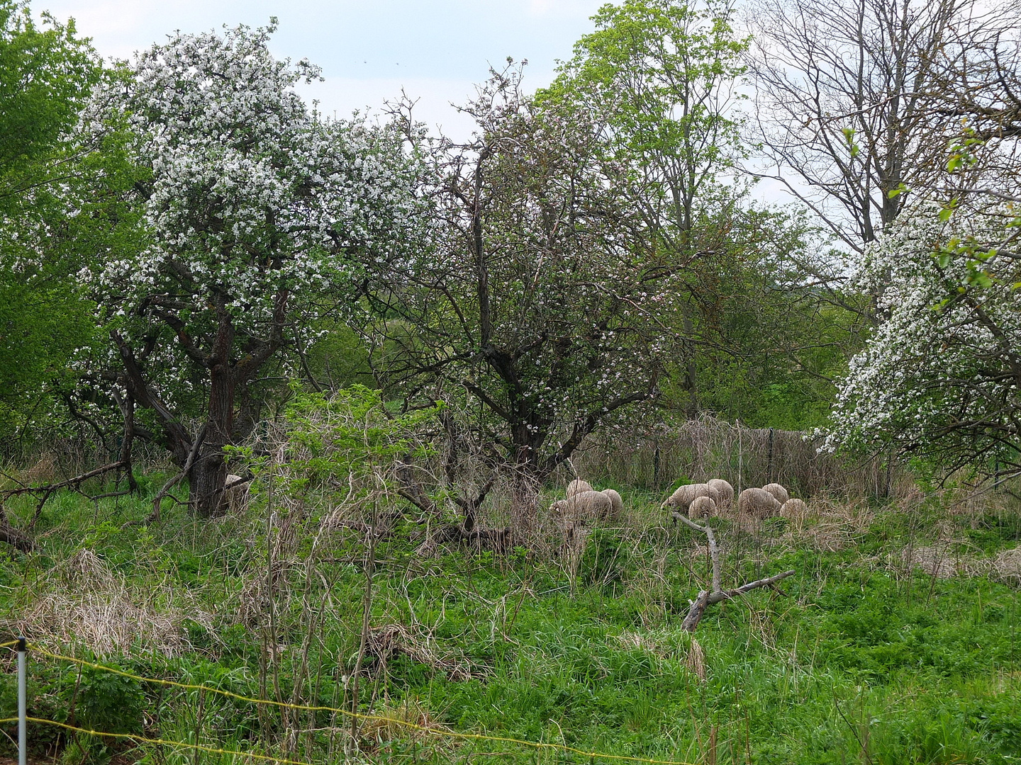 Landschaftspfleger