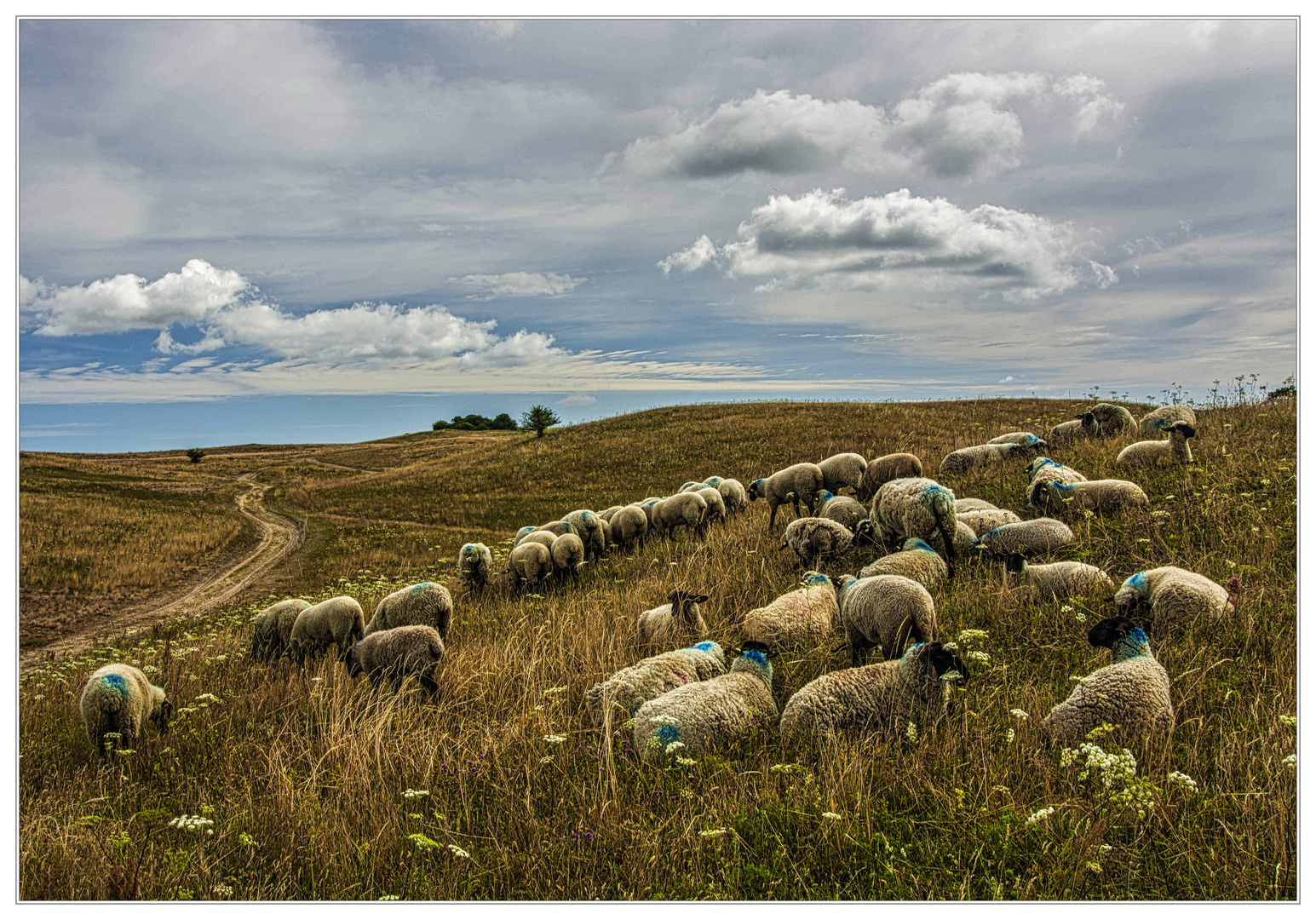 Landschaftspfleger