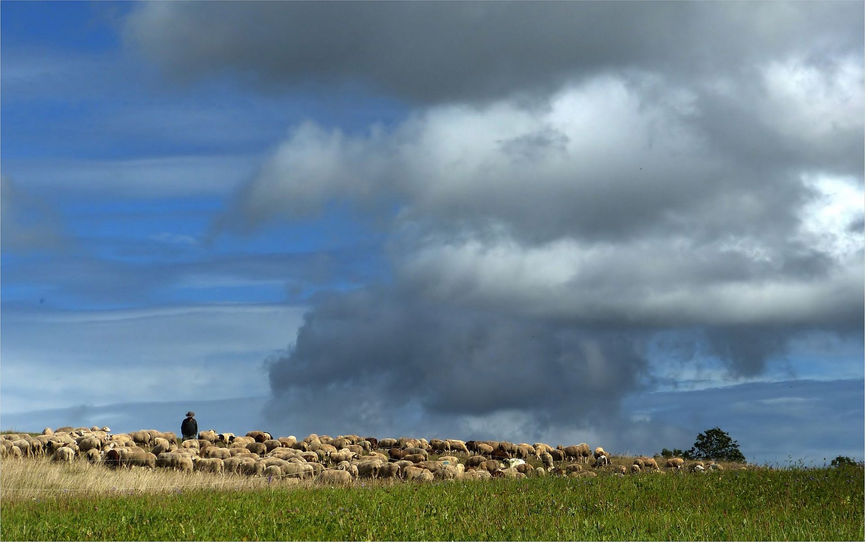 Landschaftspfleger