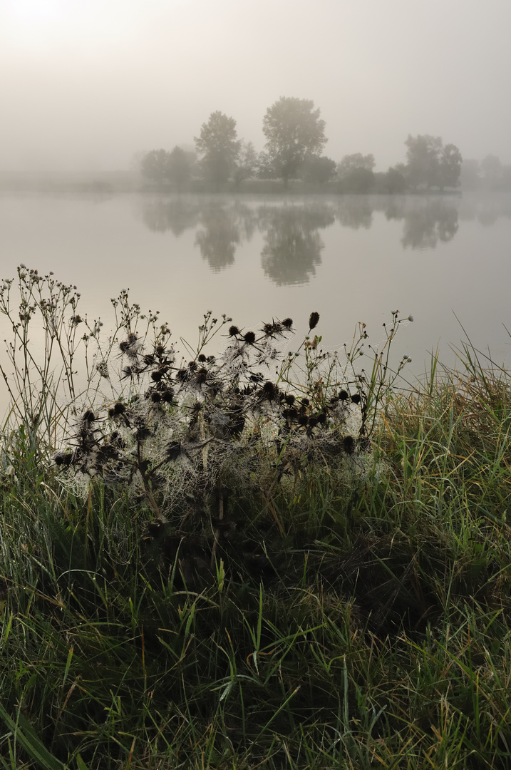 Landschaftsportraits 7 - Spiegelwetter