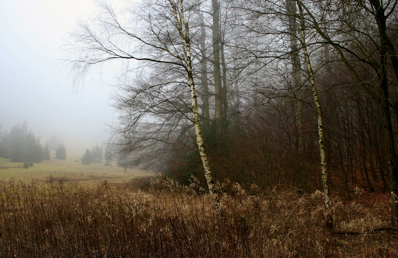 Landschaftsschutzgebiet