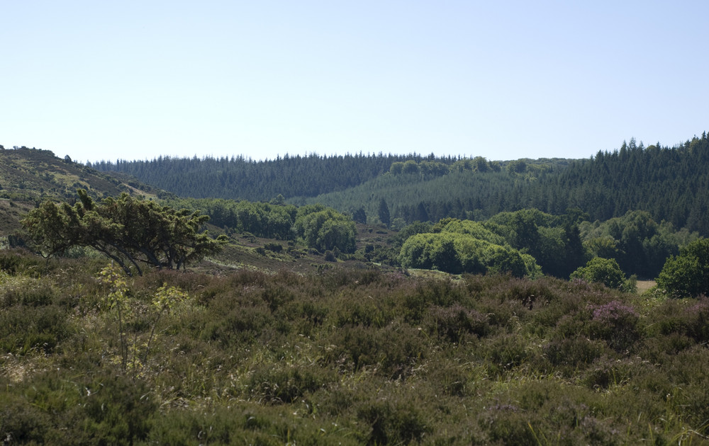 Landschaftsschutzgebiet im Nordjüdland