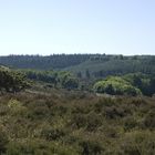 Landschaftsschutzgebiet im Nordjüdland