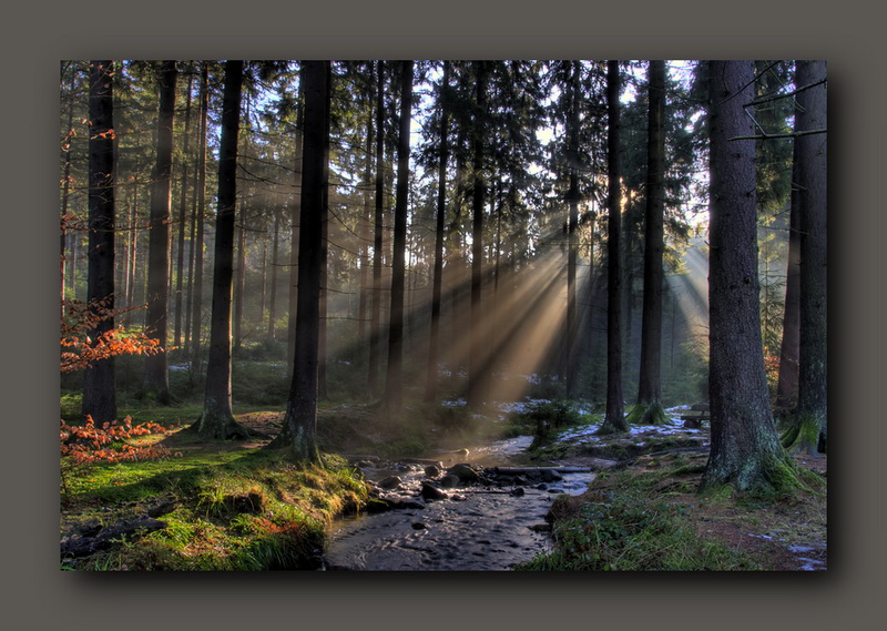 Landschaftsstimmung Silberbach 01