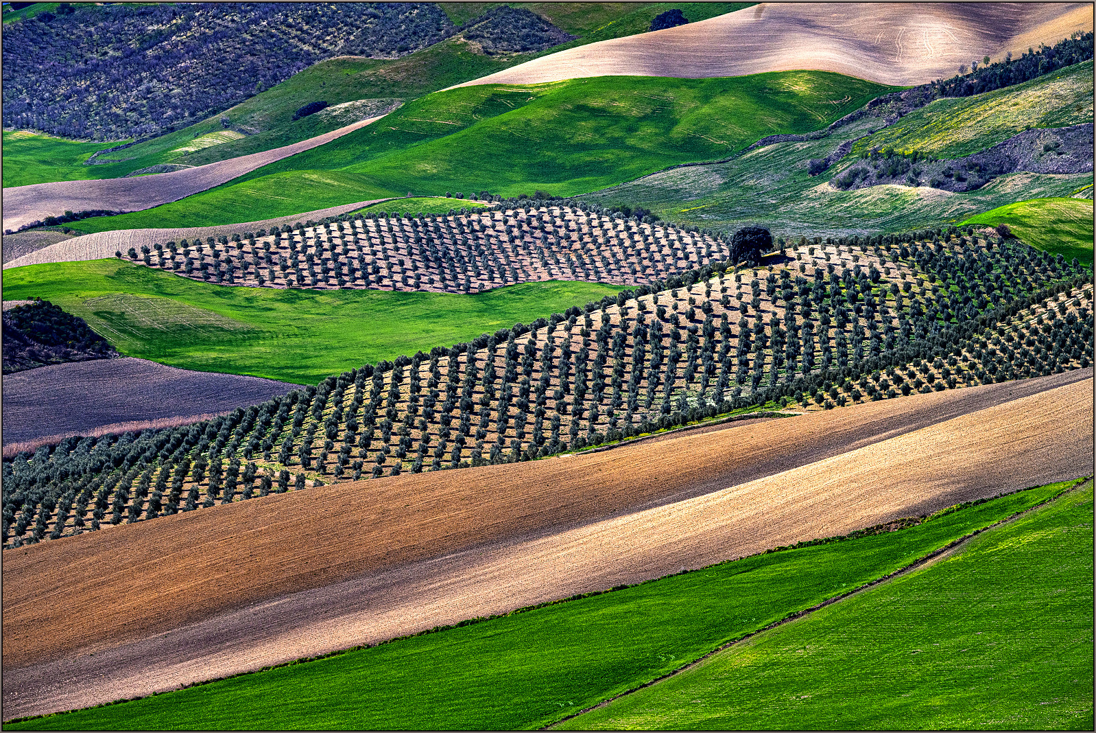 Landschaftsstruktur