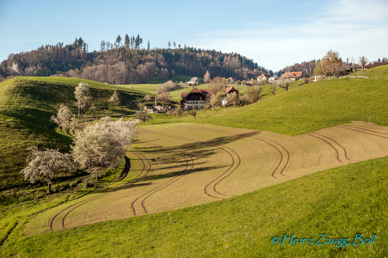 Landschaftsstruktur