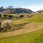 Landschaftsstruktur