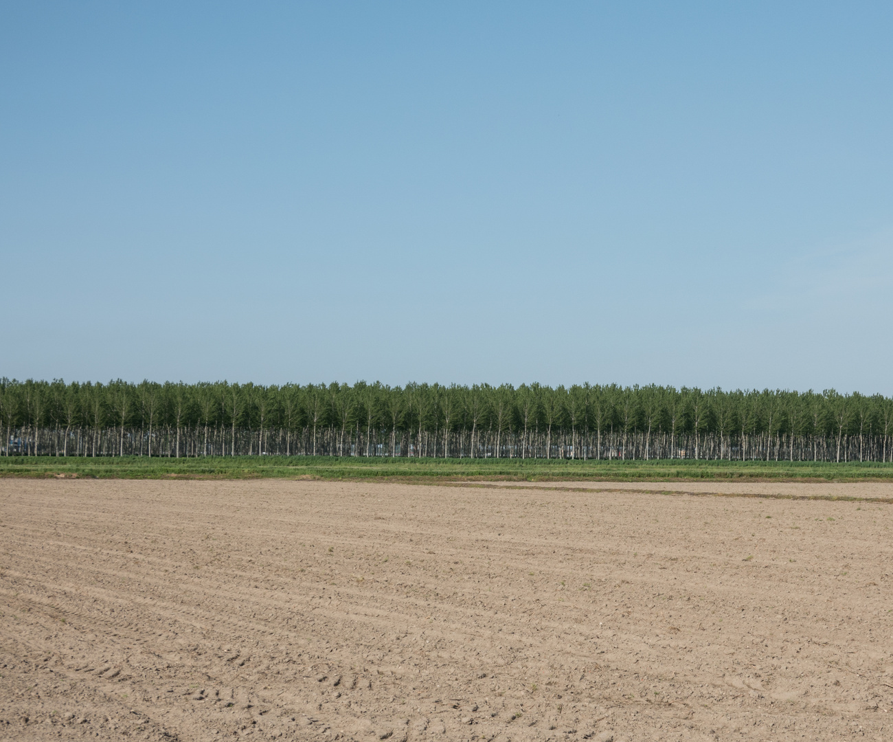 Landschaftsteiler