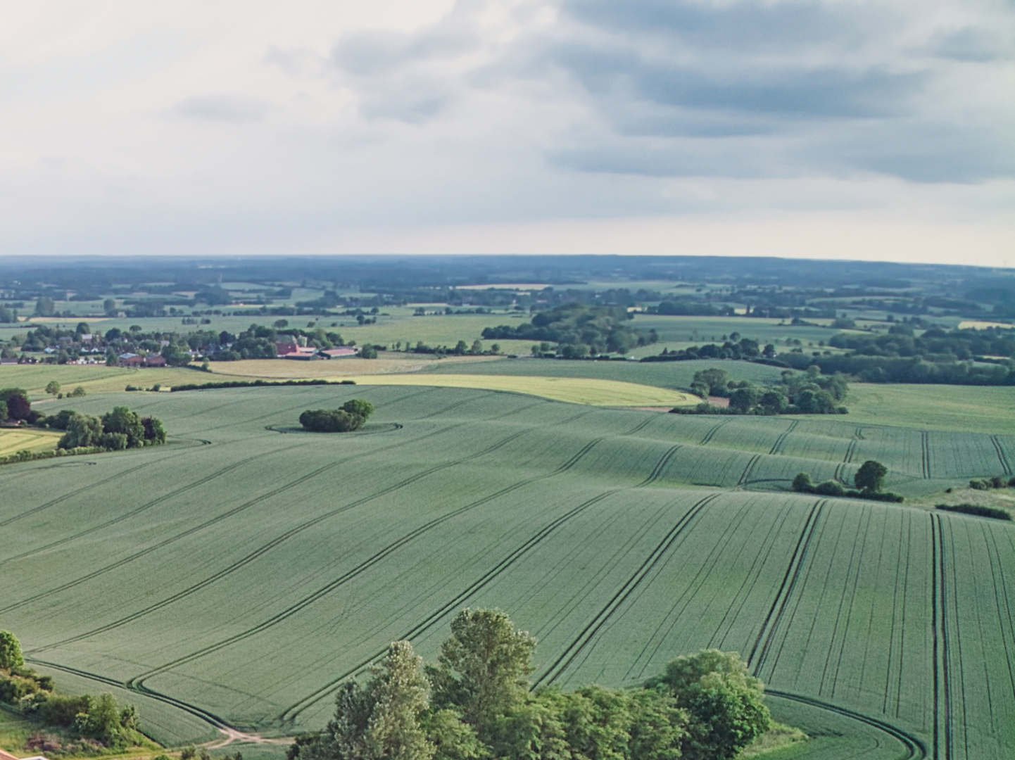 Landschaftsteppich