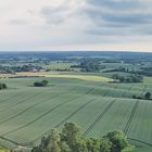 Landschaftsteppich