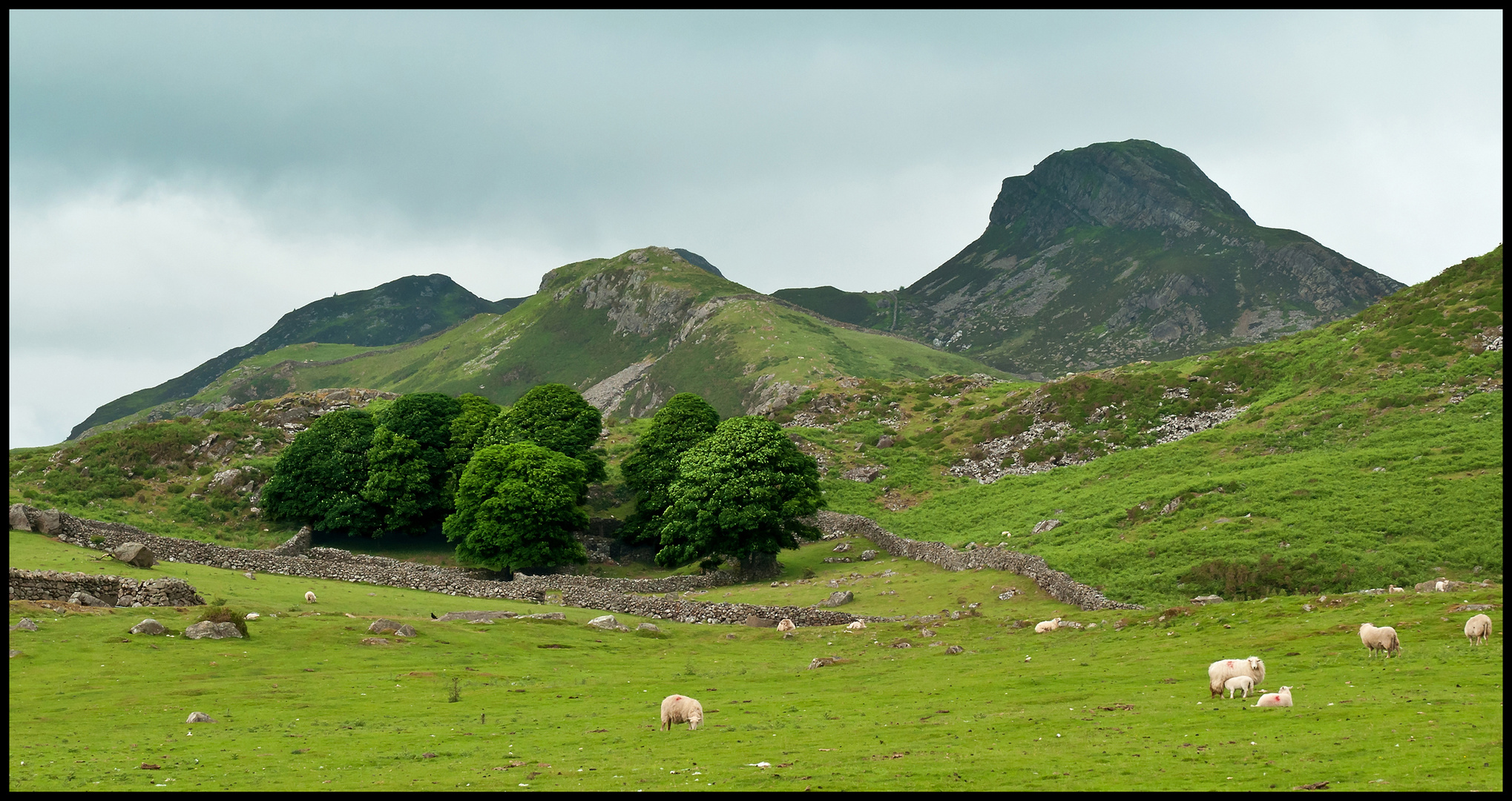 Landschaftsversuch 2