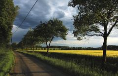 Landschaftsweg