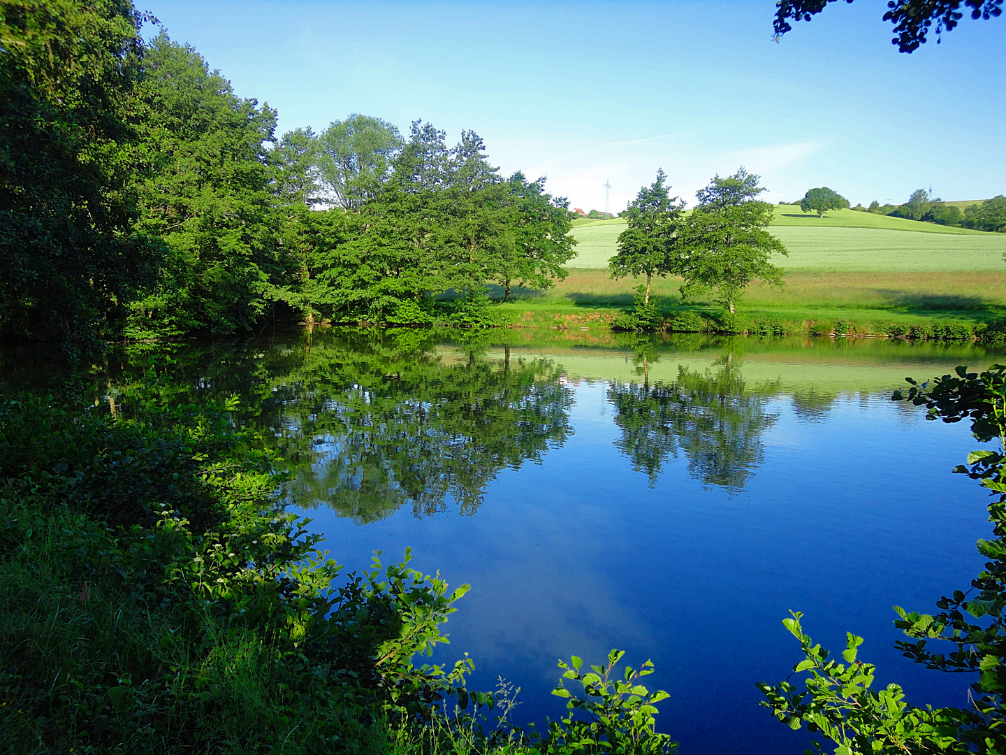 ~~~ Landschaftsweiher in Niederkirchen bei Kaiserslautern ~~~