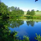 ~~~ Landschaftsweiher in Niederkirchen bei Kaiserslautern ~~~