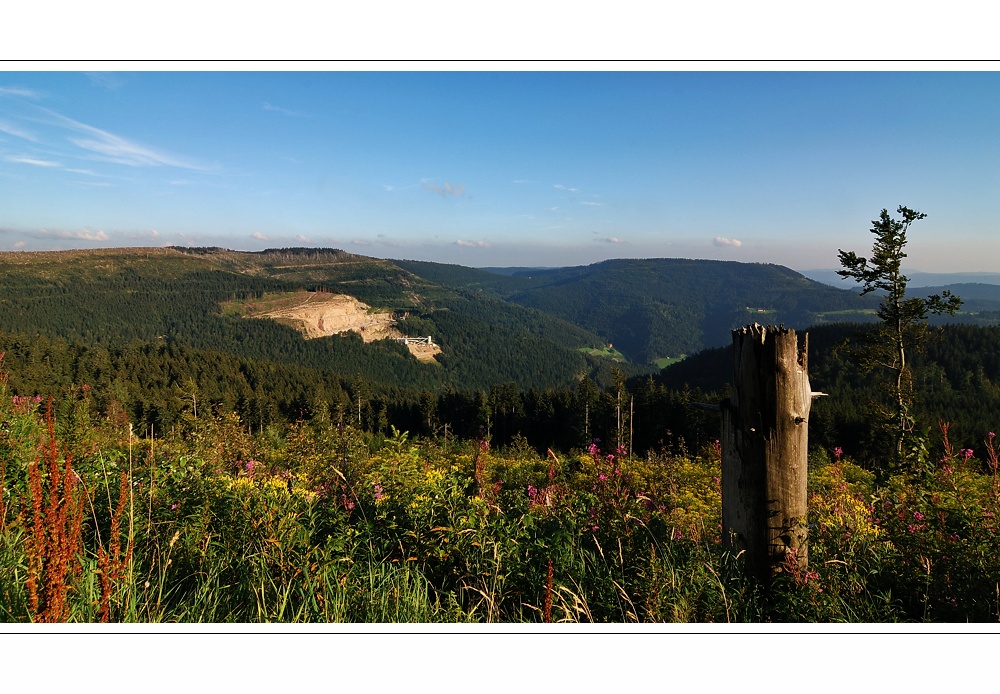 Landschaftswunden