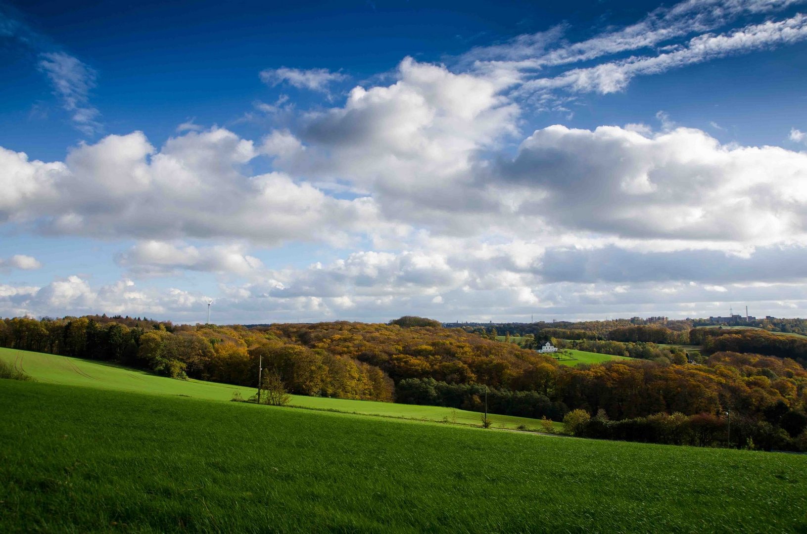 Landschaftszüge an der Ruhr II