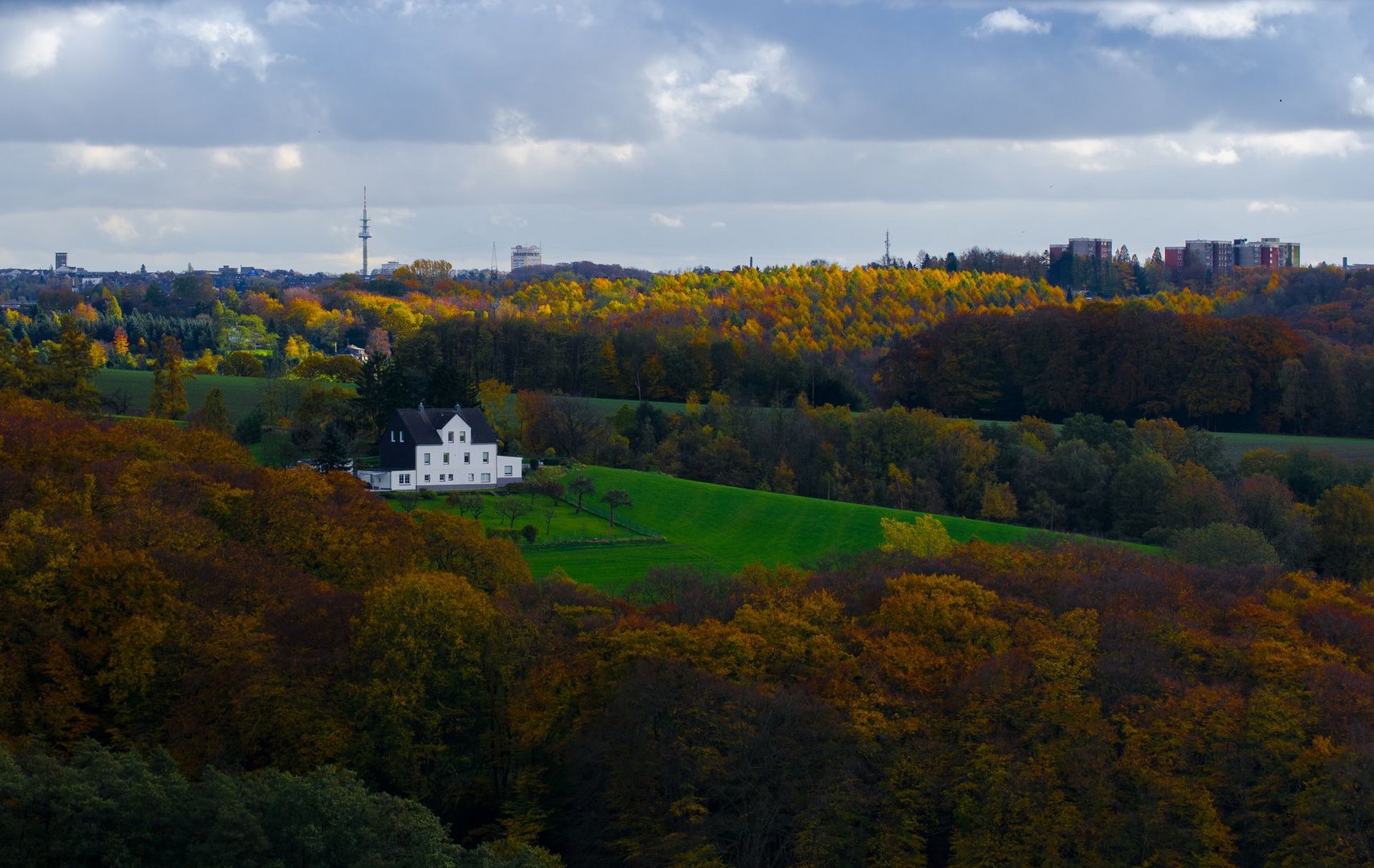 Landschaftszüge an der Ruhr V