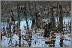 Landschft bei Beckerwitz 1