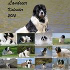 Landseer Kalender 2014