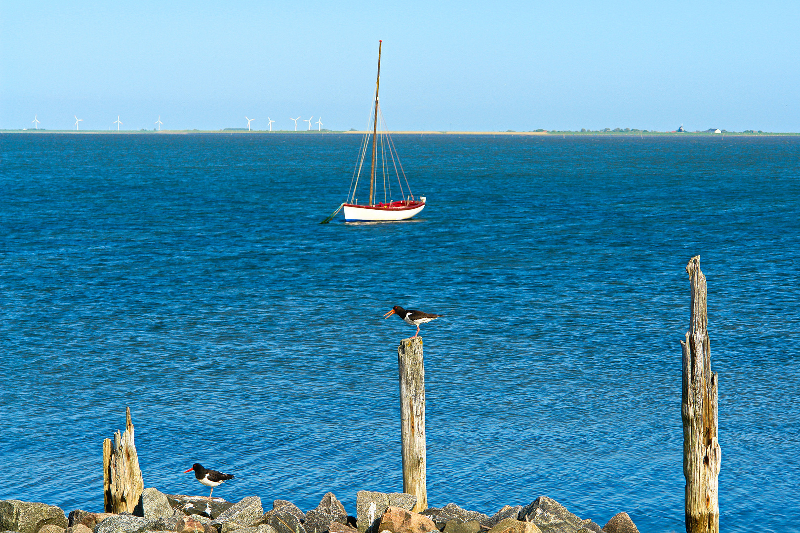 Landsende / Hallig Hooge