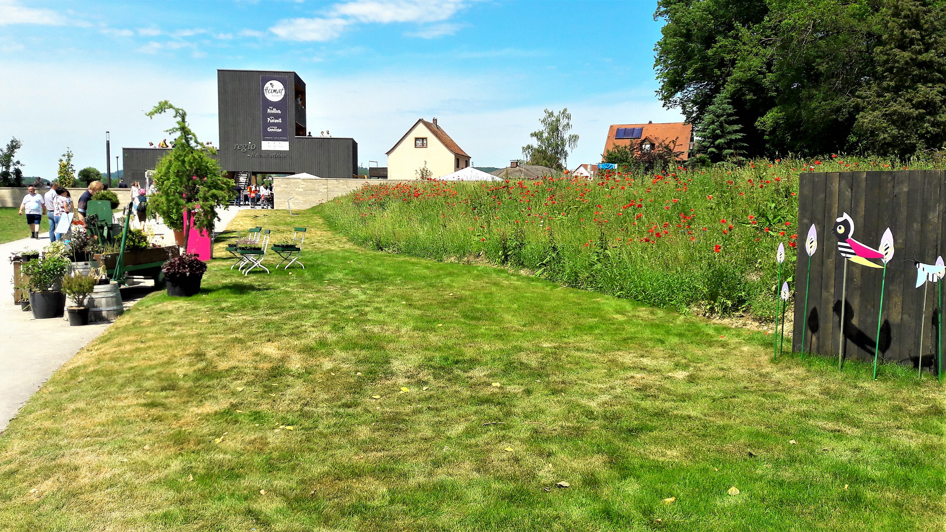 Landsgartenschau Wassertrüdingen :Blumenkübel und Mohn am Wegesrand 