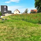 Landsgartenschau Wassertrüdingen :Blumenkübel und Mohn am Wegesrand 